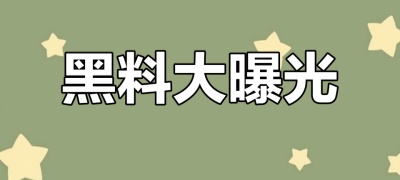 51黑料网页版